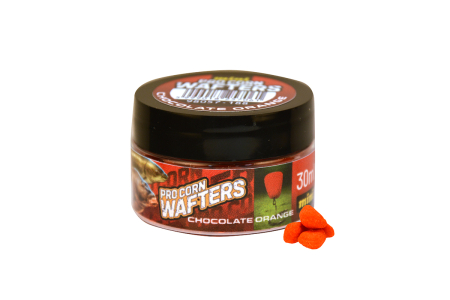 Momeli pentru cârlig - Benzar Mix Pro Corn Wafters Usturoi Marimea Mini 30ml