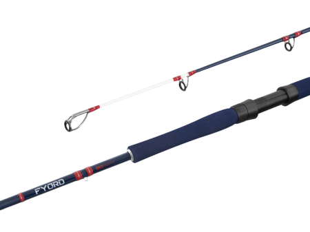Somn - Lanseta Delphin Fyord BigBoat, 2.00m, 300-400g, 2 Tronsoane