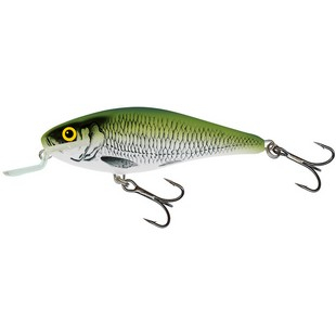 Voblere - Vobler Salmo Floating Executor 7 SR Olive Bleak 7cm 8gr. 1 - 2m