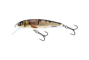 Voblere - Vobler Salmo Floating Minnow 7 Wounded Dace 7cm 6gr. 1 - 1.5m