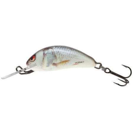 Voblere - Vobler Salmo Sinking Hornet 2 Real Dace 2.5cm 1.5gr. 0.5 - 1m Hook Size 12