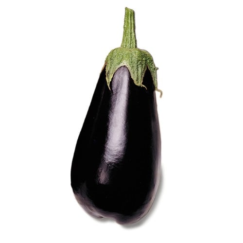 Semințe Vinete Aragon F1 – 1000 Sem. Hibrid Mare și Rezistent [4]