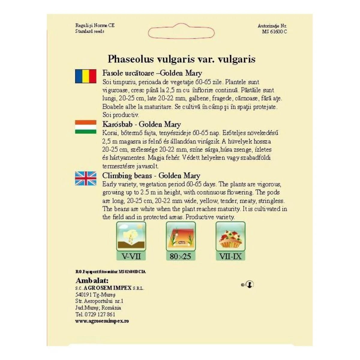 Semințe Fasole Urcătoare Galbenă Lată Golden Mary AGROSEM – 1 kg | Păstăi Fragede și Fără Ață [2]