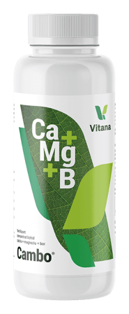 INGRASAMINTE - Cambo este un fertilizant foliar concentrat cu calciu, magneziu și bor, recomandat pentru legume, pomi fructiferi și culturi de câmp. Corectează rapid carențele nutritive, stimulează înflorirea și legarea fructelor și îmbunătățește calitatea producției. Potrivit pentru toate tipurile de culturi și ușor de aplicat.