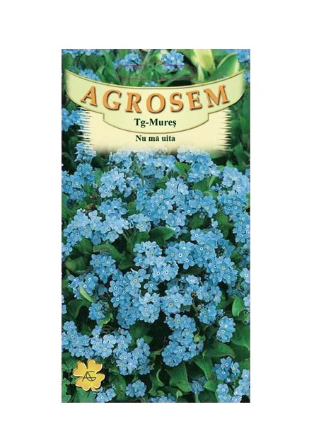SEMINTE - Floare de nu mă uita – Myosotis pentru grădină, balcon sau jardiniere | FitoSmart