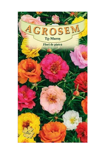 SEMINTE - Semințe de Flori de Piatră – Portulaca Mix Colorat