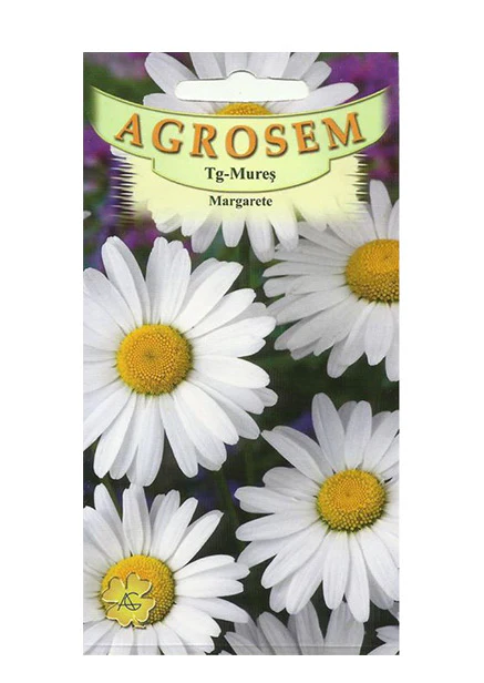SEMINTE - Semințe de Margarete – Leucanthemum vulgare Colorate
