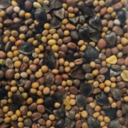 SEMINTE - Mix fitosanitar universal 0,8 kg – Amestec de plante benefice pentru sol sănătos