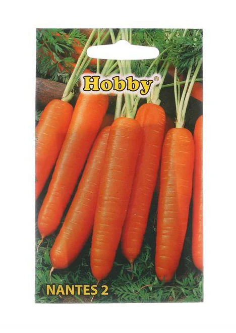 SEMINTE - Semințe de Morcov Nantes – Rădăcini Drepte și Dulci