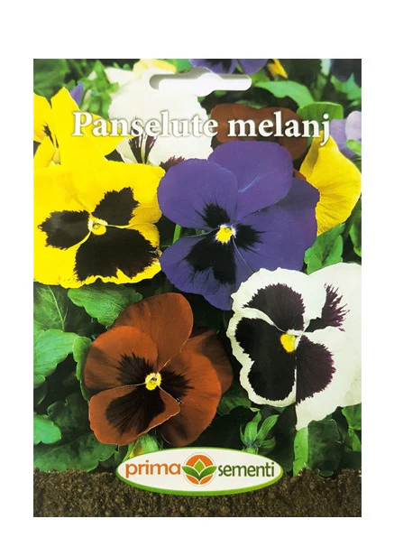 SEMINTE - Panseluță – flori colorate pentru grădină, balcon și ghiveci | FitoSmart