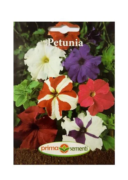 SEMINTE - Petunia – flori spectaculoase pentru balcon, grădină și terasă” Petunia oferă culori vibrante și florile sale abundente transformă orice spațiu exterior — balcon, terasă, jardiniere sau grădină — într-o oază de prospețime și stil. Se dezvoltă rapid, preferă soarele și solul bine drenat, și aduce un plus de viață din primăvară până toamna. Perfectă pentru decor, grădinărit urban sau amenajări florale cu întreținere minimă.