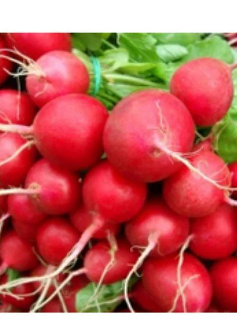 SEMINTE - Seminte Ridichii Luna Cherry Belle 3g – FitoSmart