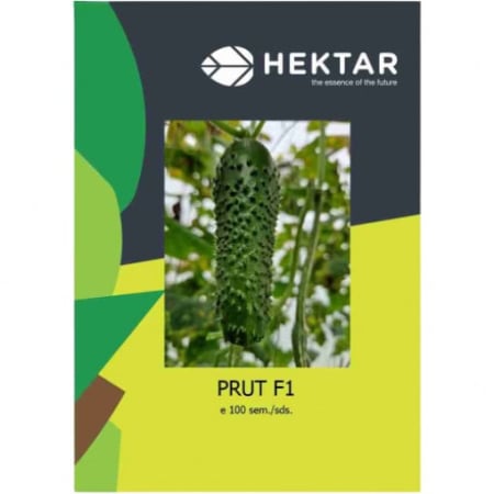 SEMINTE - Semințe Castraveți Cornișon Prut F1 Hektar – Plic 100 Semințe (Hibrid Partenocarpic)