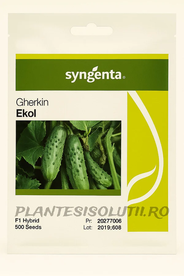 SEMINTE - Semințe Castraveți Ekol F1 – Hibrid Partenocarpic Profesional, 500 Semințe