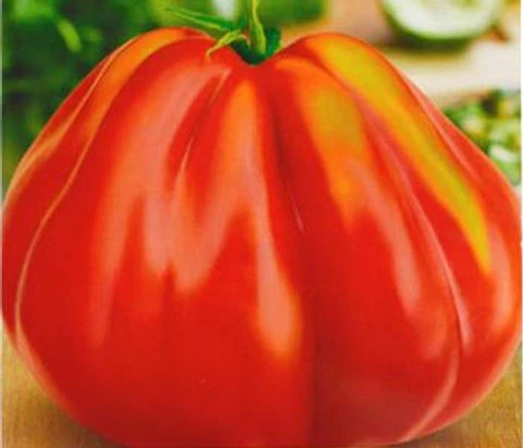 SEMINTE - Semințe Tomate Inima de Albenga – Hibrid Mare și Dulce