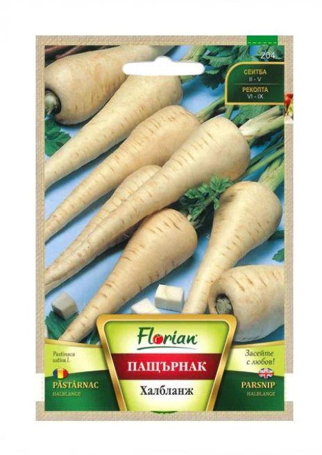 SEMINTE - Semințe de Pășarnac – Pastinaca sativa pentru Grădină