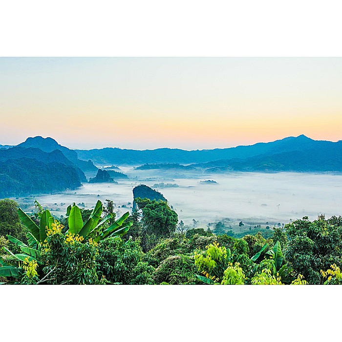 Audiobox Sunete Ambientale de Junglă Junglebox Lush [7]