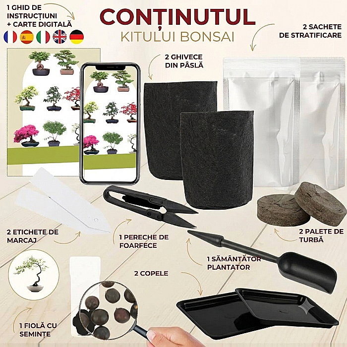 Kit Cultivare Bonsai Chinese Hackberry Celtis cu Semințe și Accesorii [4]