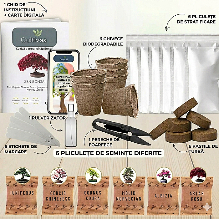 Kit de cultivare Zen Bonsai - 6 Varietăți de Arbori, cu Semințe, Ghivece și Accesorii [5]