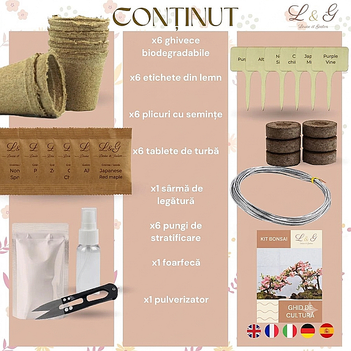 Kit DIY Premium Cultivare Bonsai cu 6 Specii, Semințe și Unelte [2]