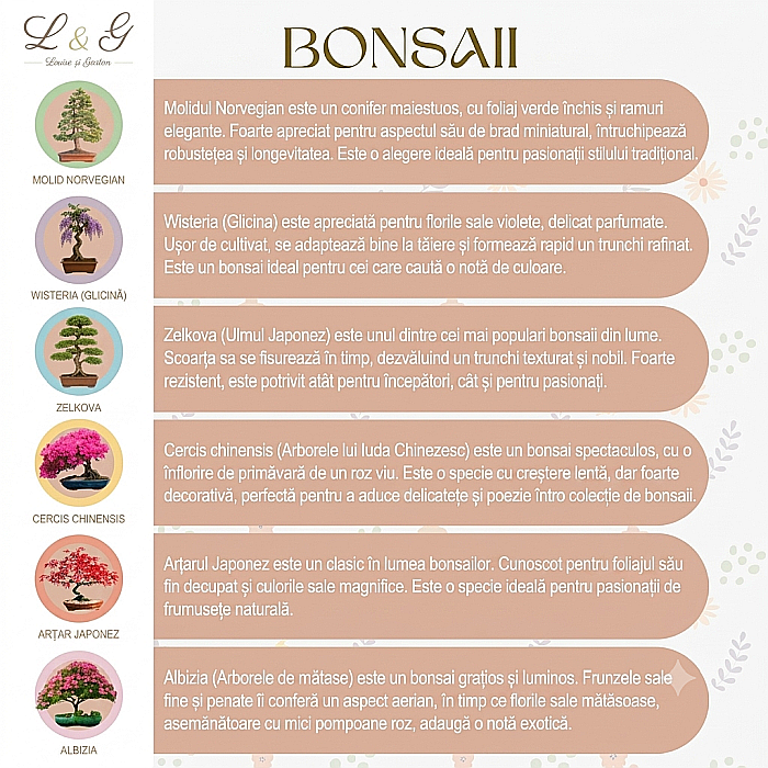 Kit DIY Premium Cultivare Bonsai cu 6 Specii, Semințe și Unelte [3]