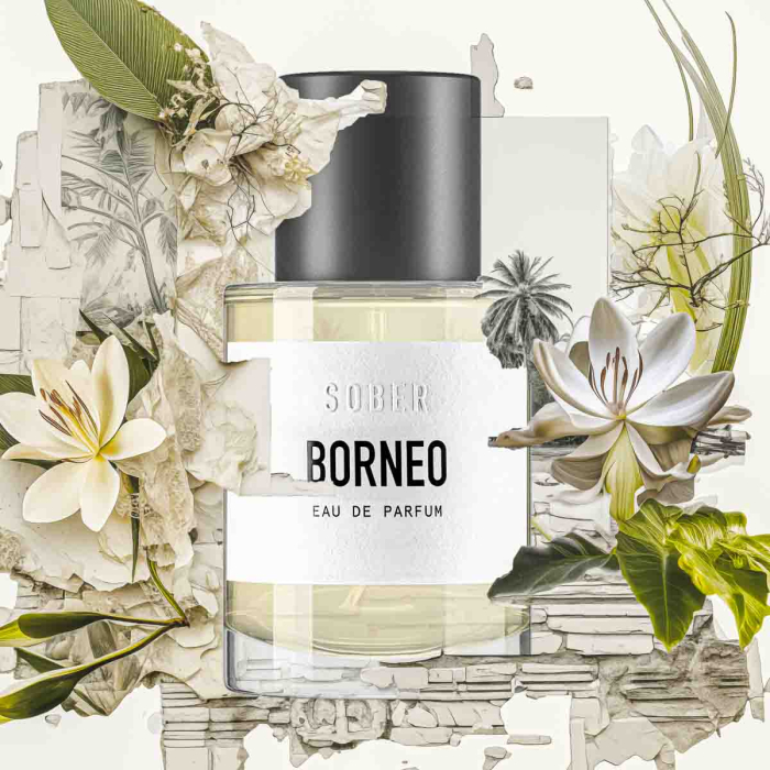 Parfum Unisex Sober Berlin BORNEO Eau de Parfum 50 ml [9]
