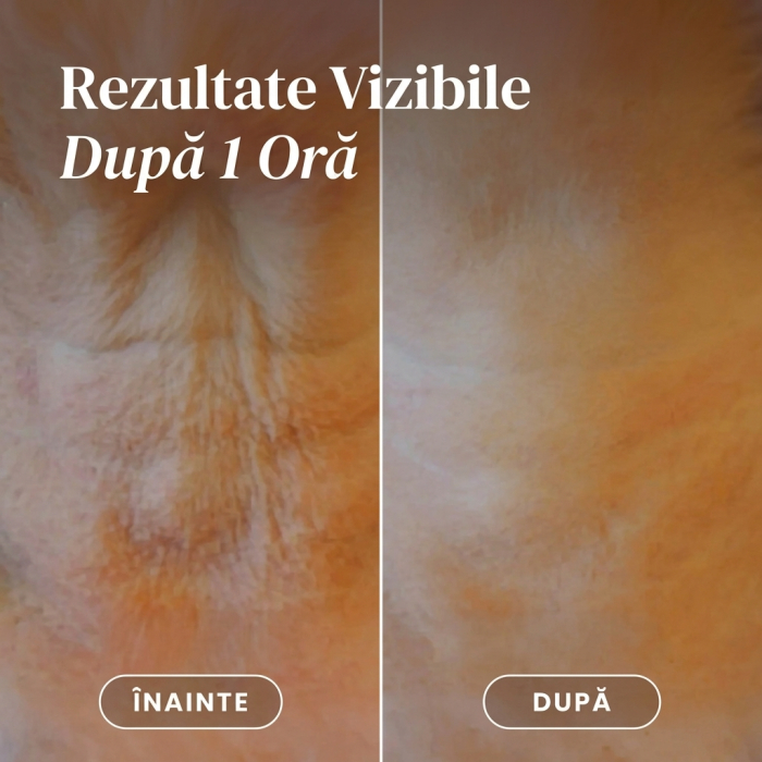 Plasture APRICOT pentru Gât cu Acid Hialuronic pentru Hidratare și Riduri [6]