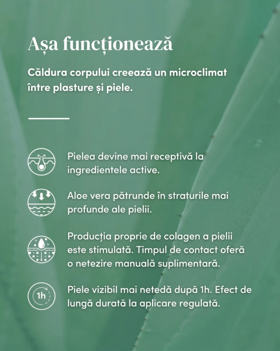 Plasturi Antirid APRICOT pentru Ochi și Tâmple cu Aloe Vera, Silicon Medical, 2 Bucăți, 30 Aplicări [2]