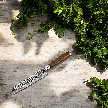 Cuțit Japonez Kiritsuke ADELMAYER Oțel Damasc 21,5 cm [2]