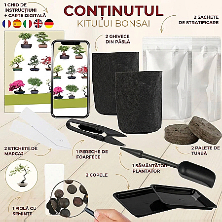 Kit Cultivare Bonsai Chinese Hackberry Celtis cu Semințe și Accesorii [3]