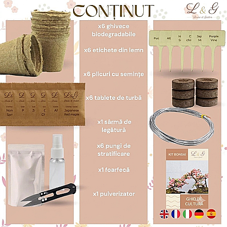 Kit DIY Premium Cultivare Bonsai cu 6 Specii, Semințe și Unelte [1]