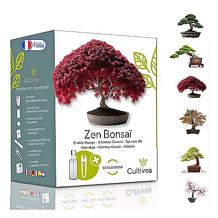 Kit de cultivare Zen Bonsai - 6 Varietăți de Arbori, cu Semințe, Ghivece și Accesorii [1]
