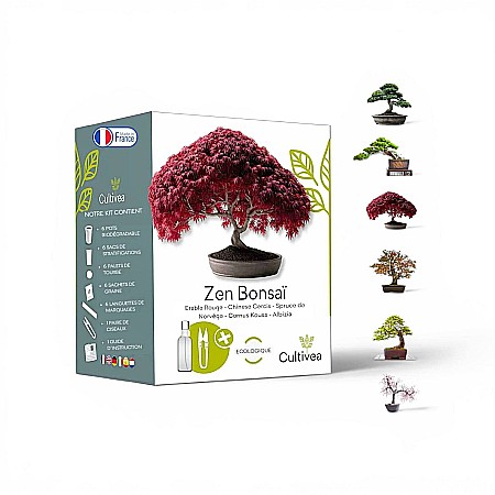Bonsai & Grădinărit Urban - Kit de cultivare Zen Bonsai - 6 Varietăți de Arbori, cu Semințe, Ghivece și Accesorii