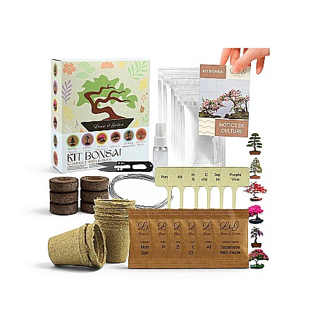 Bonsai & Grădinărit Urban - Kit DIY Premium Cultivare Bonsai cu 6 Specii, Semințe și Unelte