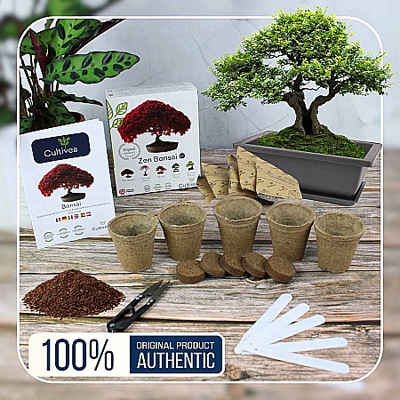 Kit de cultivare Zen Bonsai - 6 Varietăți de Arbori, cu Semințe, Ghivece și Accesorii [2]