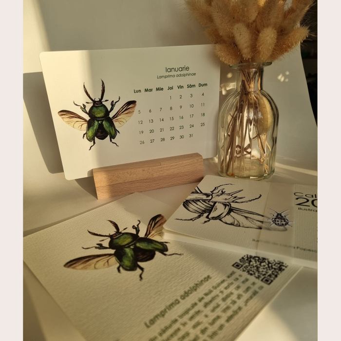 Calendar Insecte [2]