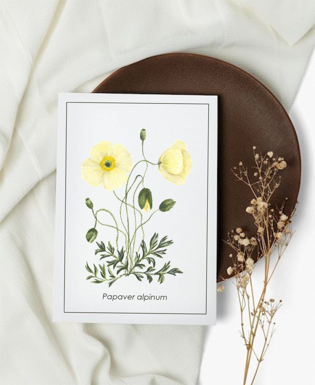 Cartolină Papaver [1]
