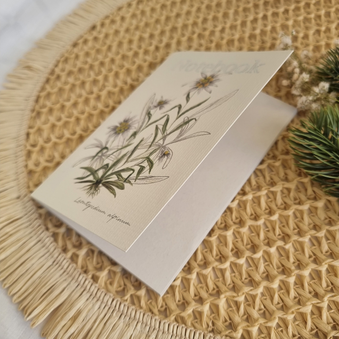 Notebook Floare de Colț [2]