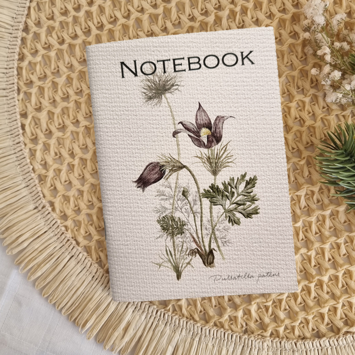 Notebook Pulsatilla [1]
