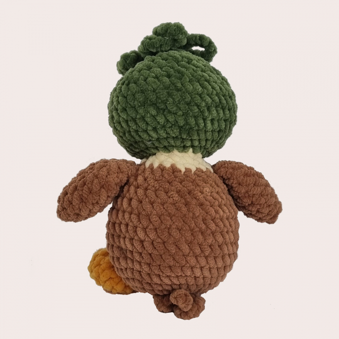 Rață sălbatică [3]