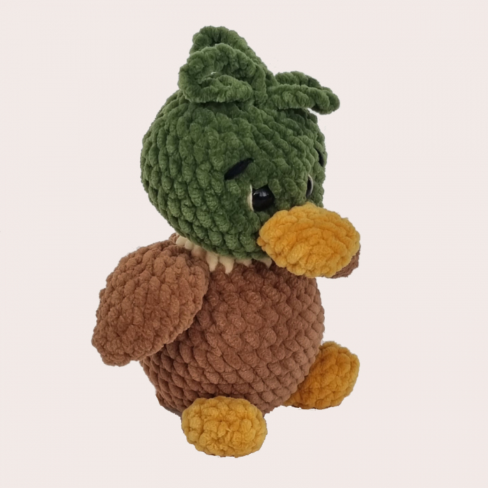 Rață sălbatică [2]