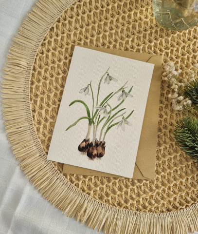 Felicitări - Felicitare