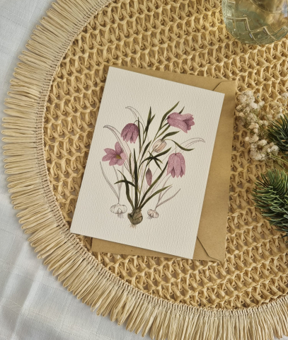 Felicitări - Felicitare