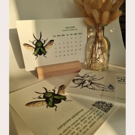 Calendar Insecte [1]