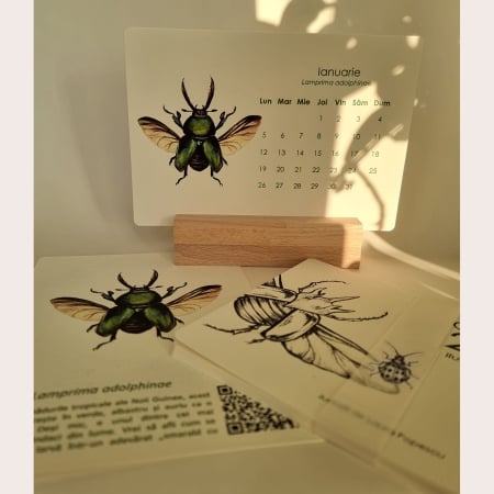 Calendar - Calendar Insecte