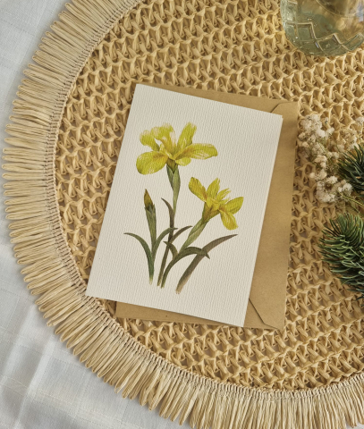 Felicitări - Felicitare