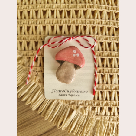 Brose lucioase - Brosa Ciuperca