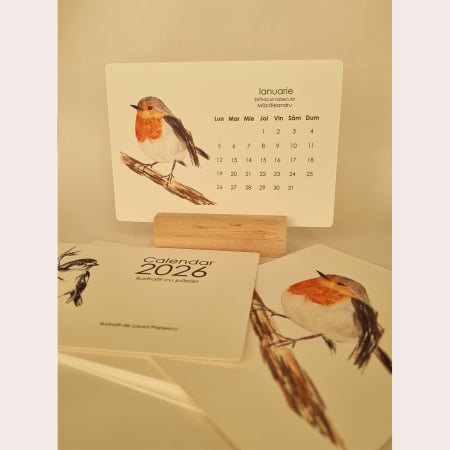 Calendar - Calendar Pasari