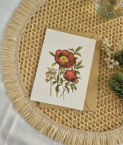 Felicitări - Felicitare