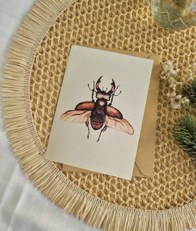 Papetărie - Felicitare